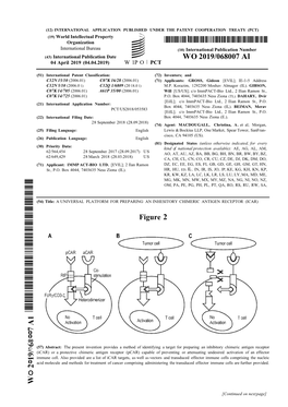 WO 2019/068007 Al Figure 2