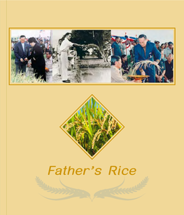 Father's Rice