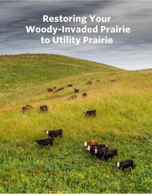 Woody-Invaded Prairie to Utility Prairie