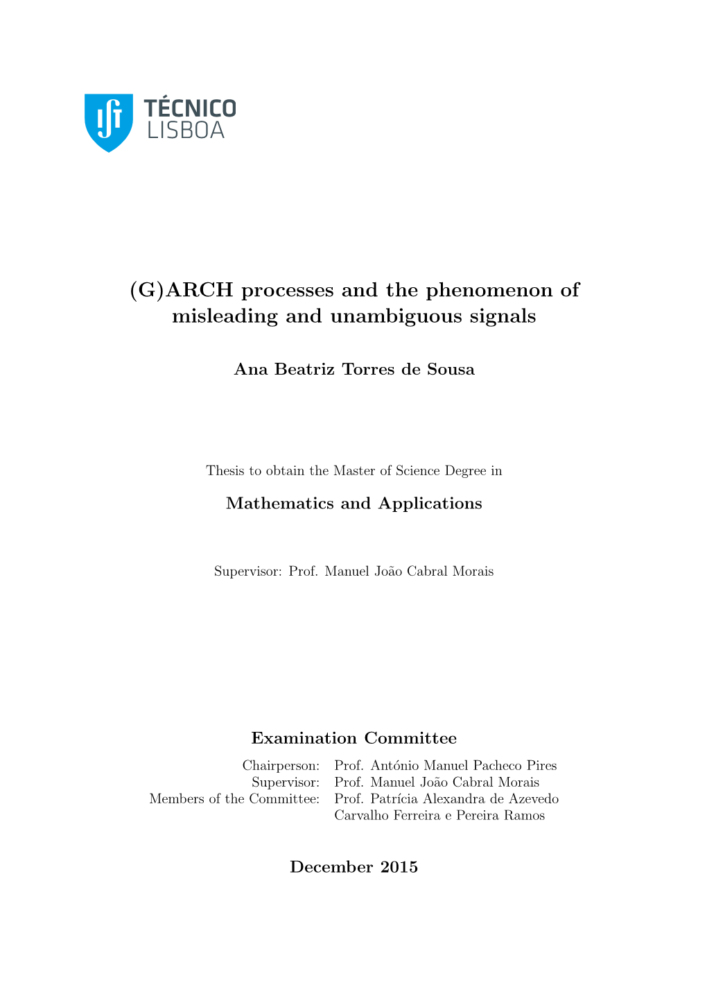 (G)ARCH Processes and the Phenomenon of Misleading and Unambiguous Signals