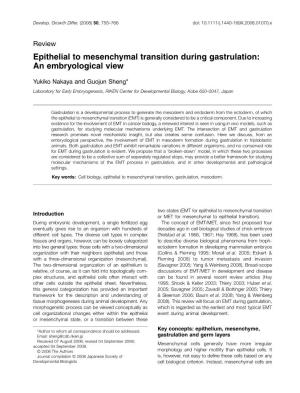 Epithelial to Mesenchymal Transition During Gastrulation: an Embryological View