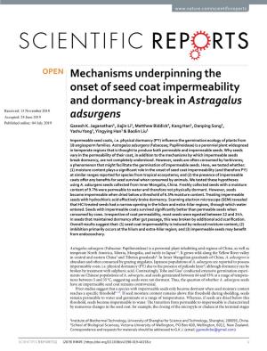 Mechanisms Underpinning the Onset of Seed Coat Impermeability And