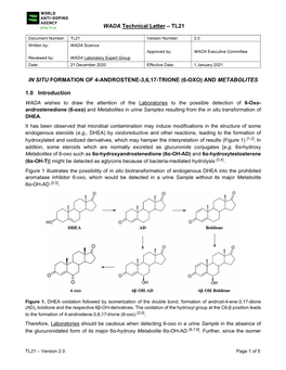 6-Oxo) and Metabolites