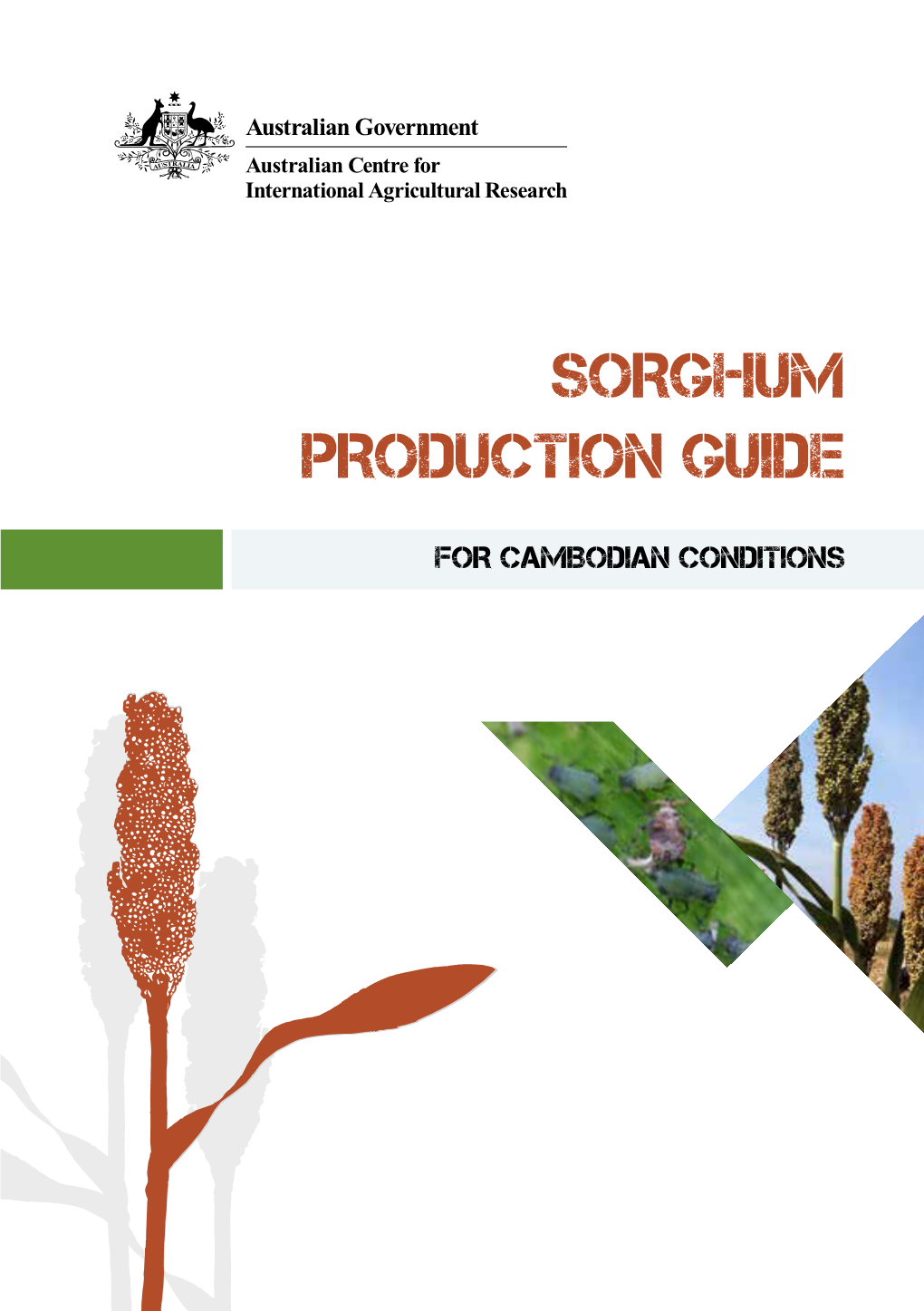 Sorghum Production Guide