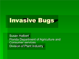 Invasive Hoppers, Psyllids and Aphids