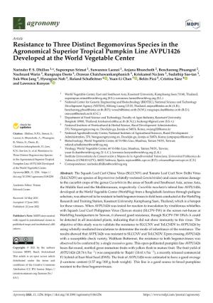Resistance to Three Distinct Begomovirus Species in the Agronomical Superior Tropical Pumpkin Line AVPU1426 Developed at the World Vegetable Center