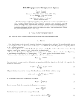 Belief Propagation for the (Physicist) Layman