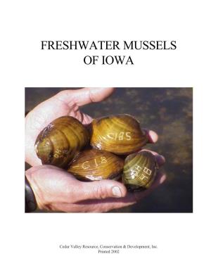 Freshwater Mussels of Iowa