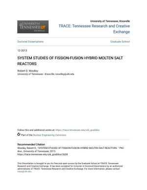 System Studies of Fission-Fusion Hybrid Molten Salt Reactors