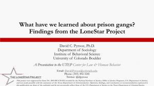 What Have We Learned About Prison Gangs? Findings from the Lonestar Project