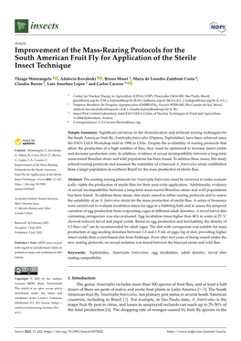 Improvement of the Mass-Rearing Protocols for the South American Fruit Fly for Application of the Sterile Insect Technique