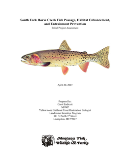 South Fork Horse Creek Fish Passage, Habitat Enhancement, and Entrainment Prevention Initial Project Assessment