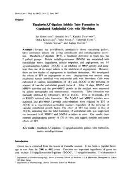 Digallate Inhibits Tube Formation in Cocultured Endothelial Cells with Fibroblasts