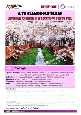 6/7N Glamorous Busan Jinhae Cherry Blossom Festival