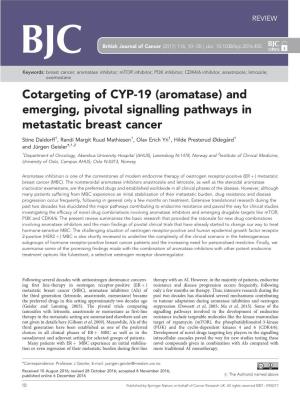 And Emerging, Pivotal Signalling Pathways in Metastatic Breast Cancer
