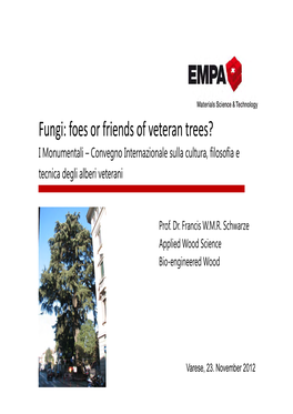 Fungi: Foes Or Friends of Veteran Trees? I Monumentali – Convegno Internazionale Sulla Cultura, Filosofia E Tecnica Degli Alberi Veterani