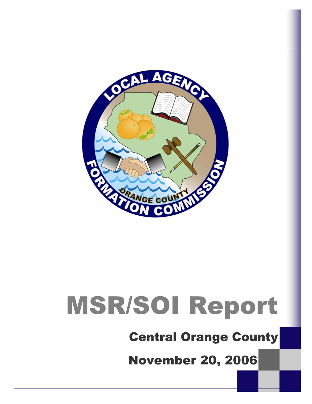 MSR/SOI Report