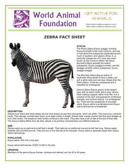 Zebra Fact Sheet