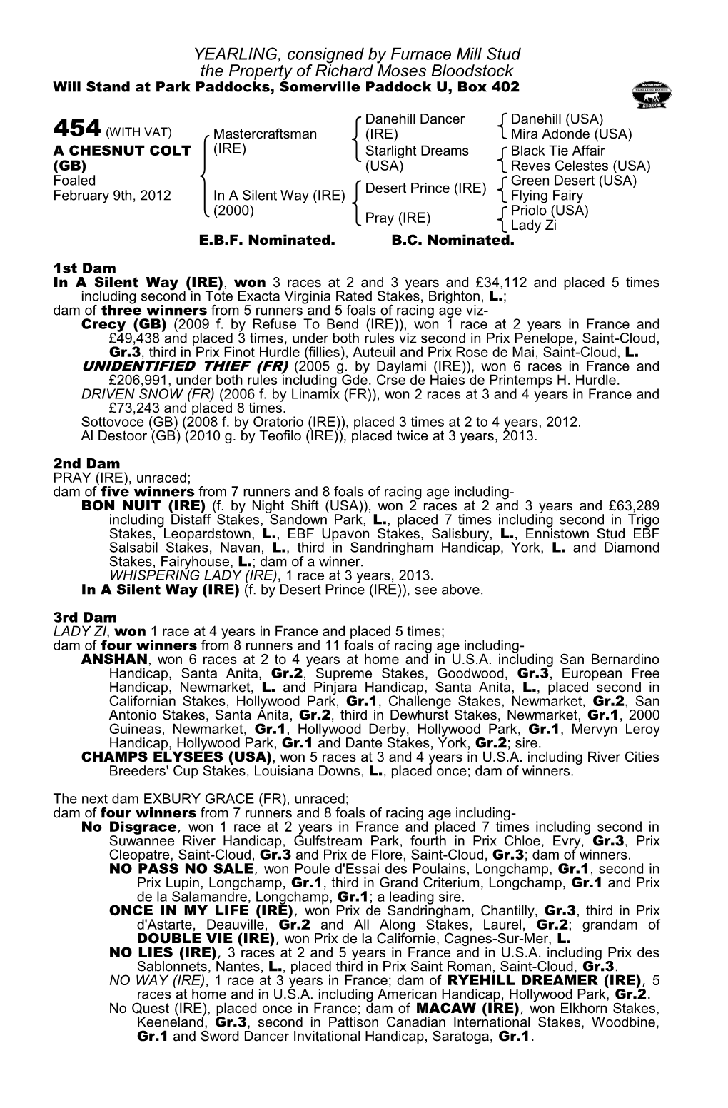 YEARLING, Consigned by Furnace Mill Stud the Property of Richard Moses Bloodstock Will Stand at Park Paddocks, Somerville Paddock U, Box 402