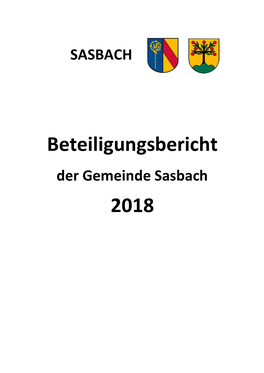 Beteiligungsbericht 2018