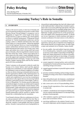 Assessing Turkey's Role in Somalia