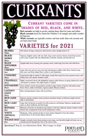 Currant Varieties Come in Shades of Red , Black, And