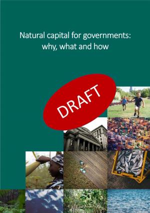 Natural Capital for Governments: Why, What and How