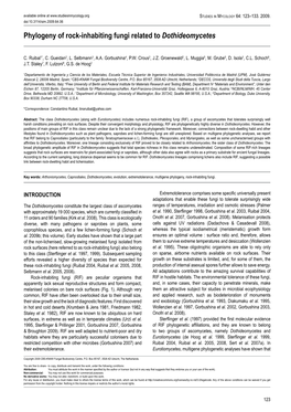 Phylogeny of Rock-Inhabiting Fungi Related to Dothideomycetes