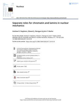 Separate Roles for Chromatin and Lamins in Nuclear Mechanics