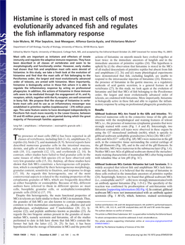 Histamine Is Stored in Mast Cells of Most Evolutionarily Advanced Fish and Regulates the Fish Inflammatory Response