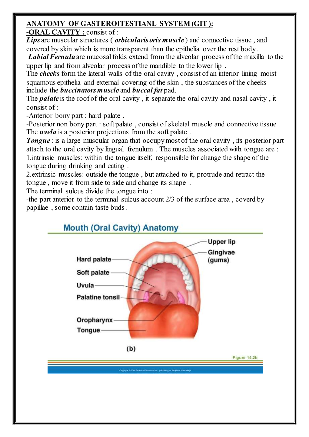 ANATOMY of GASTEROITESTIANL SYSTEM (GIT ): Consist of : ORAL CAVITY