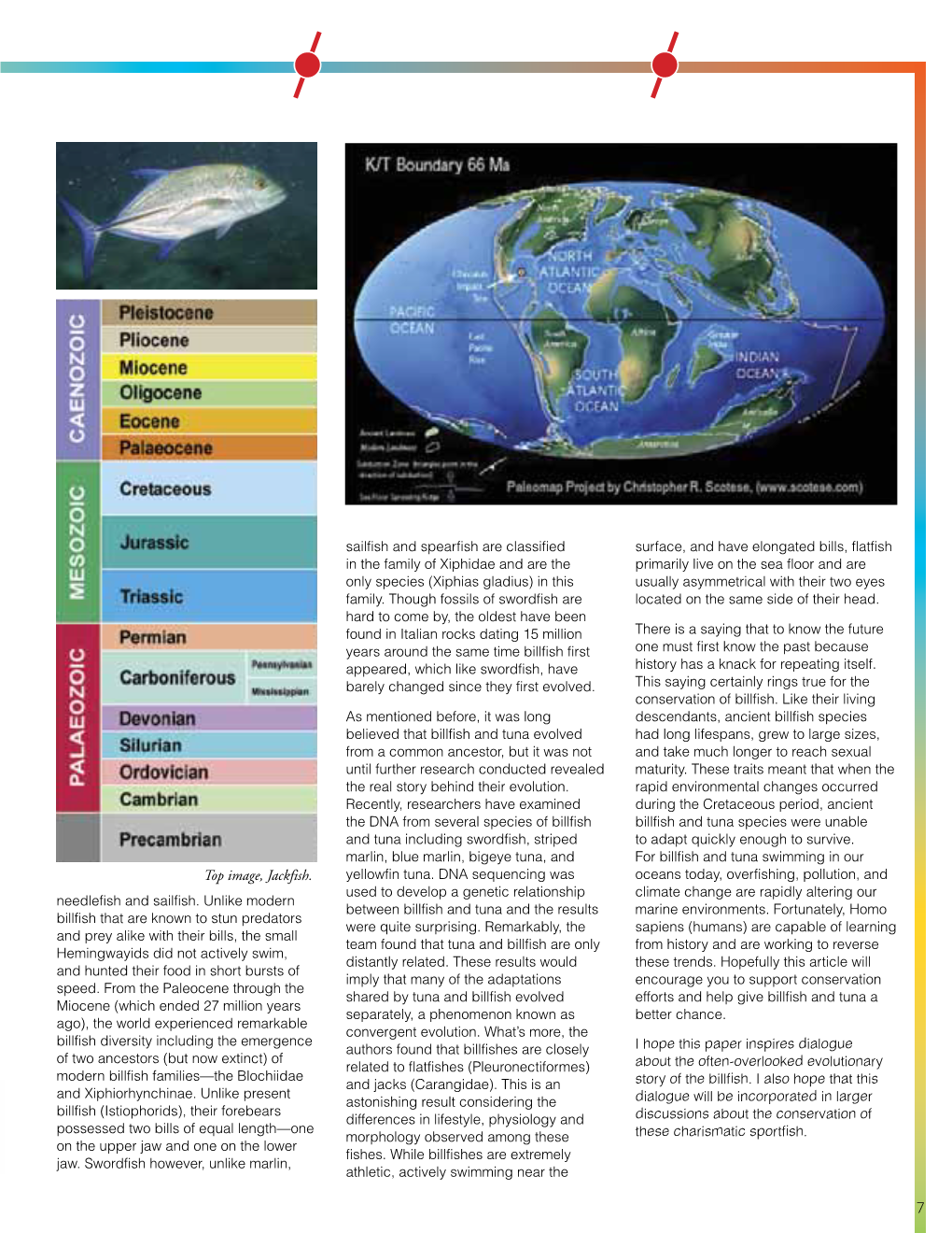 Top Image, Jackfish. Yellowfin Tuna