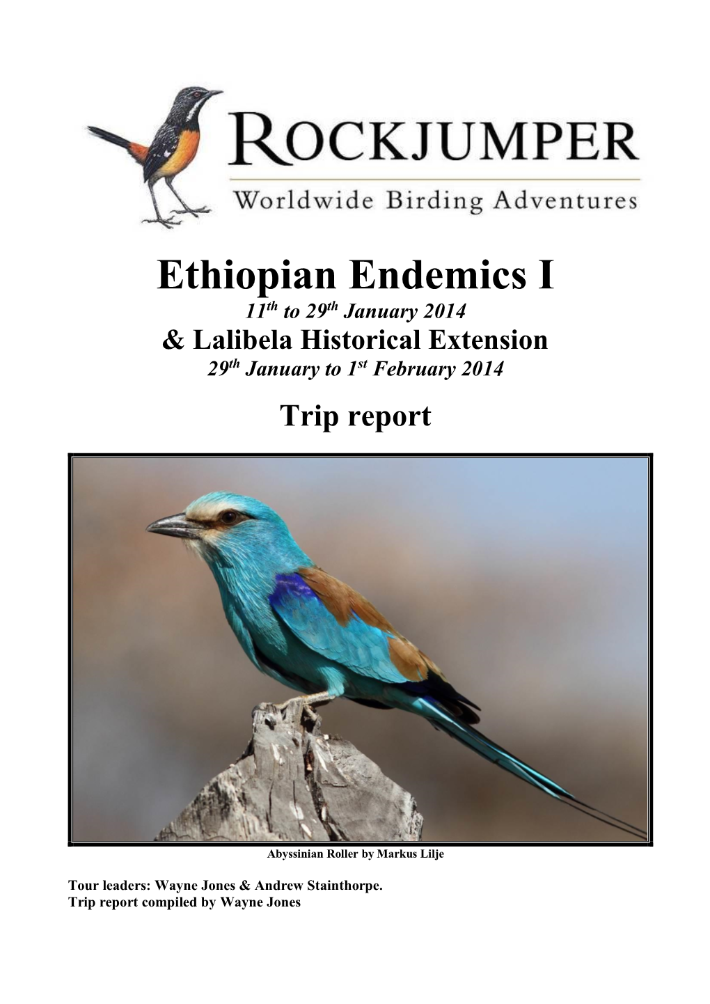 Ethiopian Endemics I 11Th to 29Th January 2014 & Lalibela Historical Extension 29Th January to 1St February 2014