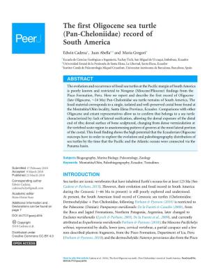 The First Oligocene Sea Turtle (Pan-Cheloniidae) Record of South America