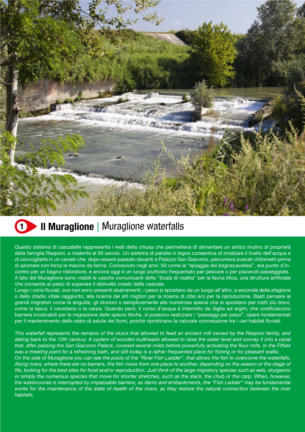 Il Muraglione | Muraglione Waterfalls