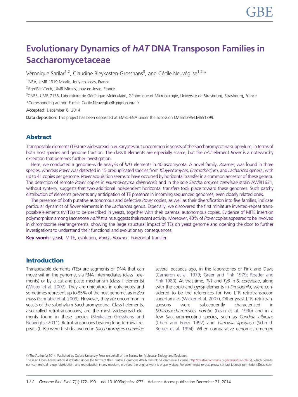 Evolutionary Dynamics of Hat DNA Transposon Families in Saccharomycetaceae