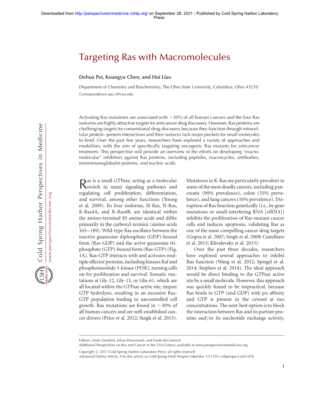 Targeting Ras with Macromolecules