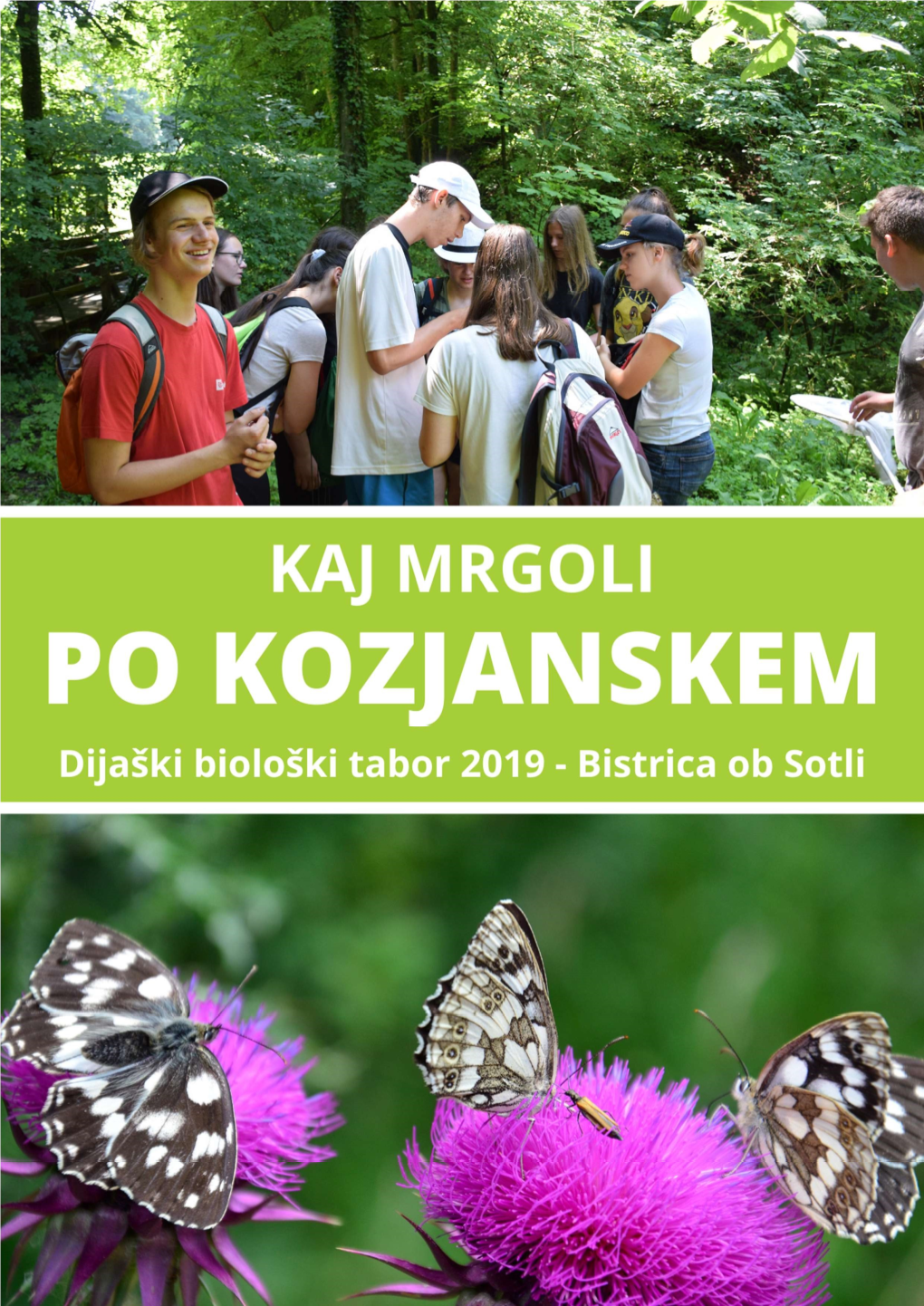 Zbornik DBT 2019 Kozjansko.Pdf
