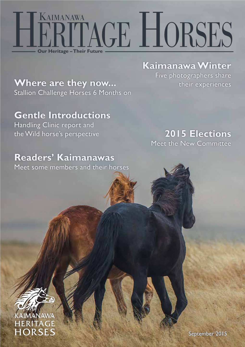 Where Are They Now... Kaimanawa Winter Readers' Kaimanawas 2015