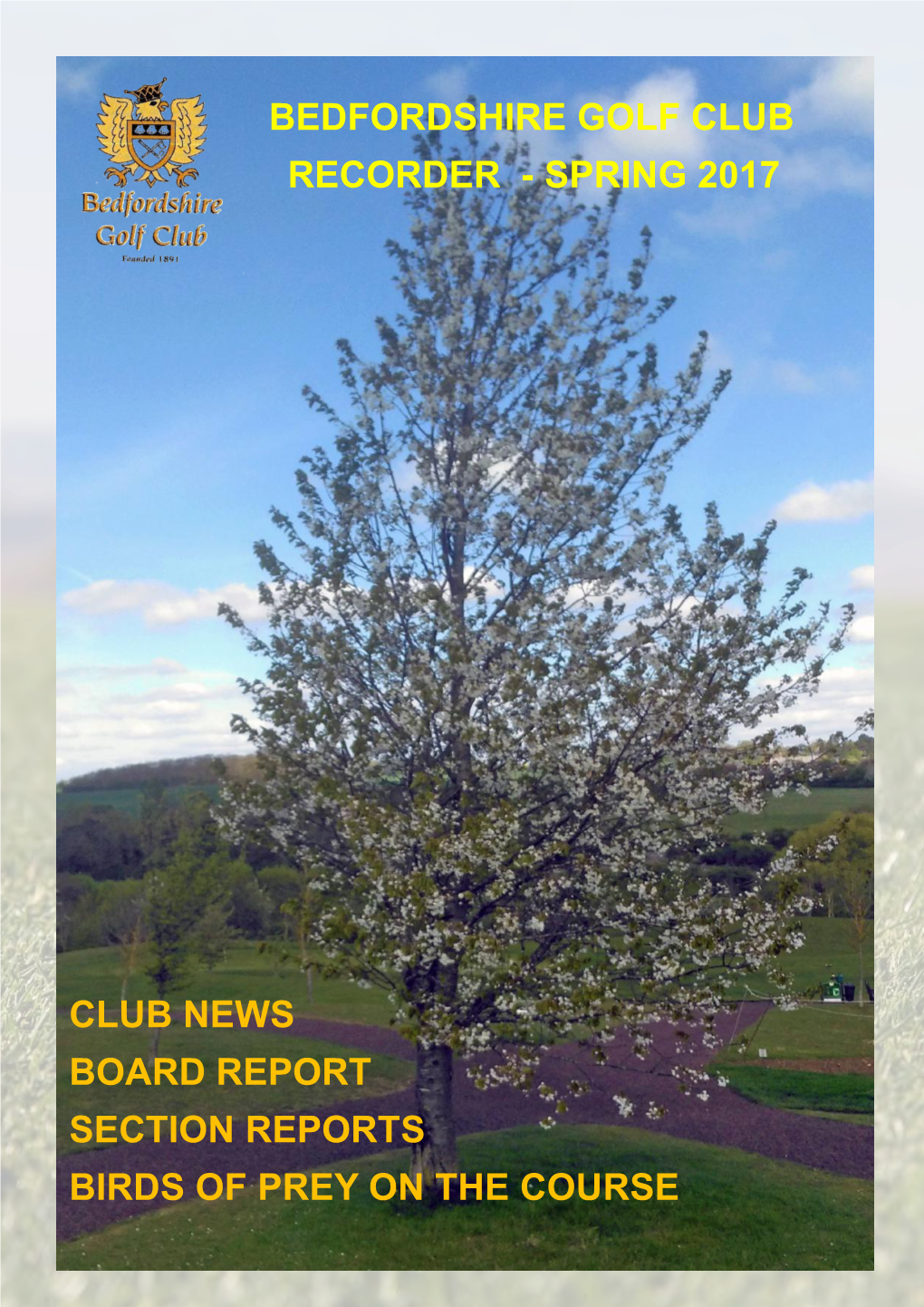Spring 2017 Club News Board Report