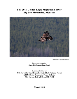 Fall 2017 Golden Eagle Migration Survey Big Belt Mountains, Montana