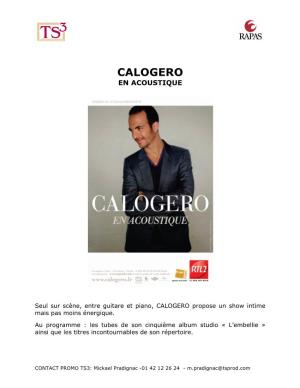 Calogero En Acoustique 2011