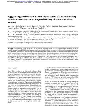 Piggybacking on the Cholera Toxin: Identification of a Toxoid-Binding Protein As an Approach for Targeted Delivery of Proteins to Motor Neurons Matthew R
