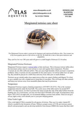 Marginated Tortoise Care Sheet