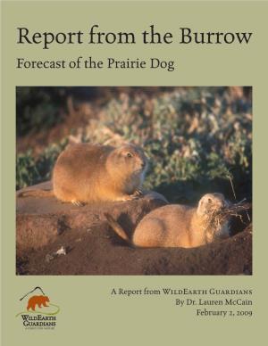 Report from the Burrow Forecast of the Prairie Dog