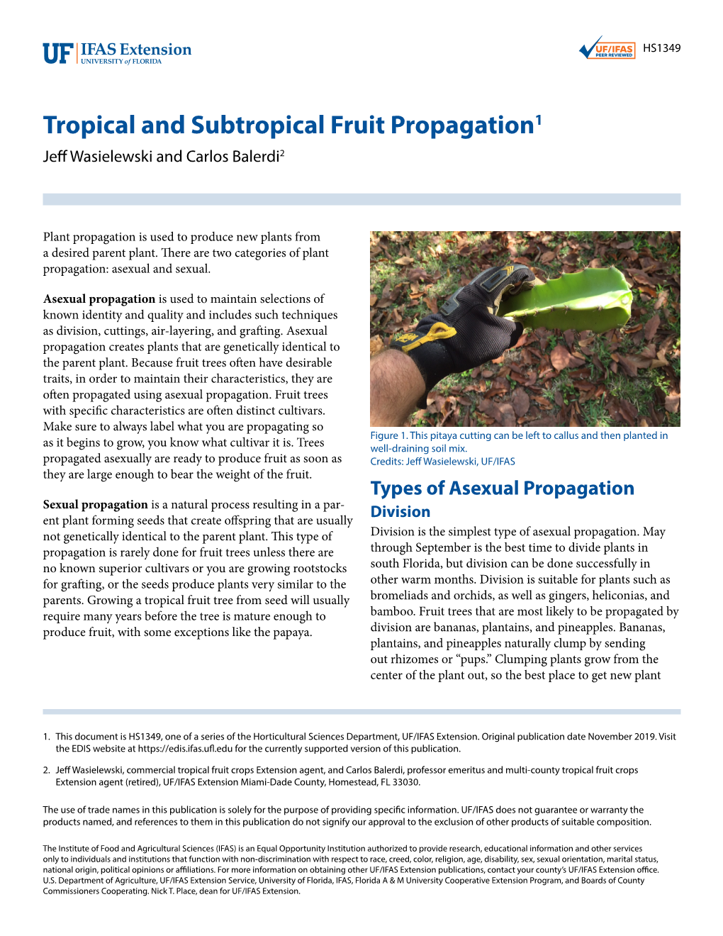 Tropical and Subtropical Fruit Propagation1 Jeff Wasielewski and Carlos Balerdi2