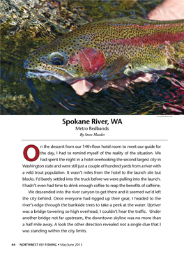 Spokane River, WA Metro Redbands by Steve Maeder
