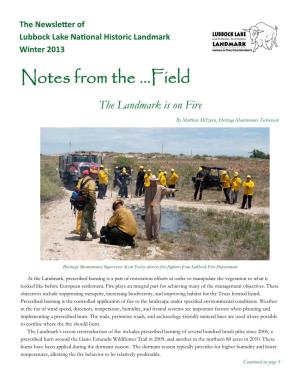 Notes from the ...Field the Landmark Is on Fire