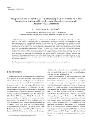 Ascophyllum and Its Symbionts. VI. Microscopic Characterization of the Ascophyllum Nodosum (Phaeophyceae), Mycophycias Ascophylli (Ascomycetes) Symbiotum
