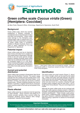 Farmnote 16/2005 : Green Coffee Scale Coccus Viridis